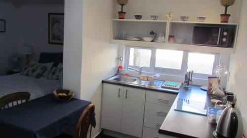 约翰内斯堡Springbank Guest Suite的一个带水槽和床的小厨房