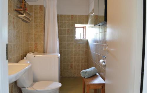 霍恩拜克1 Bedroom Cozy Apartment In Hornbk的浴室配有卫生间、盥洗盆和淋浴。