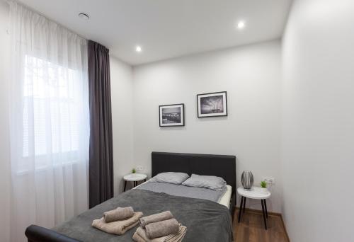 考纳斯Oak house apartments的一间卧室配有一张带两个枕头的床