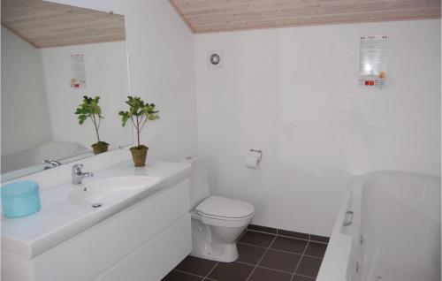 斯图伯克宾3 Bedroom Nice Home In Stubbekbing的浴室配有盥洗盆、卫生间和浴缸。