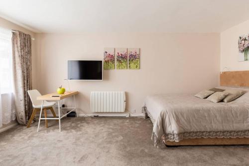 利明顿温泉Chocolate Nest的一间卧室配有一张床、一张书桌和一台电视。