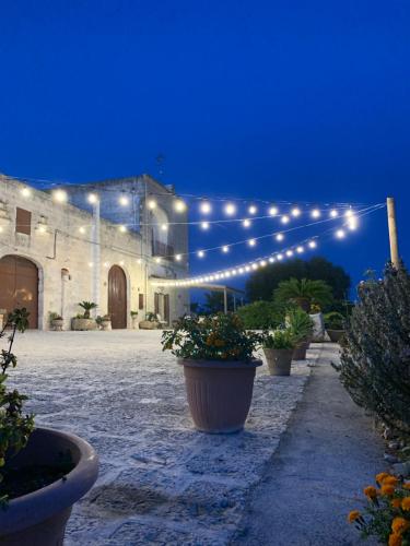 拉泰尔扎Casa Vacanza-La Bruna的庭院里一座有灯和盆栽的建筑