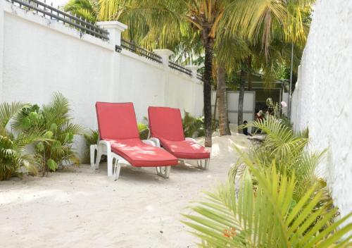 特鲁欧克比赫斯简易居旅馆的两把红色椅子坐在棕榈树墙边