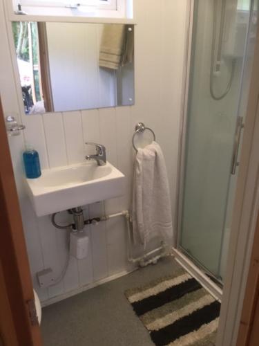 约维尔Lodge的浴室配有盥洗盆和带镜子的淋浴