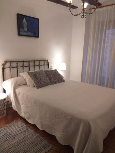 特鲁埃尔Apartamento Tras Catedral的卧室设有一张白色大床和一扇窗户。