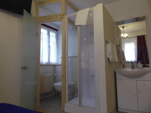 莱茵河畔威尔Pension Zur Rose的带淋浴、盥洗盆和卫生间的浴室