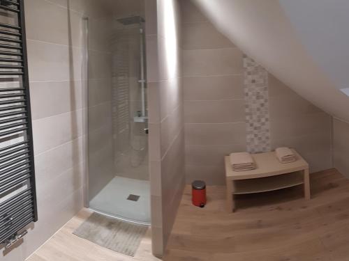埃圭斯海姆Gite Le Petit Malsbach Eguisheim的带淋浴和步入式淋浴间的浴室