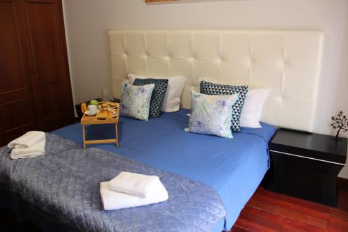 丰沙尔Doca do Cavacas Apartment的一张带蓝色被子和枕头的床