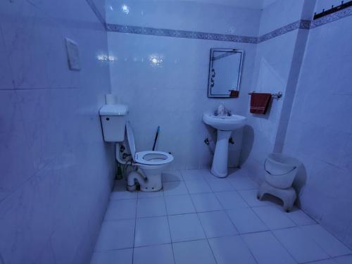 钱德加尔新昌迪加尔度假屋的白色的浴室设有卫生间和水槽。