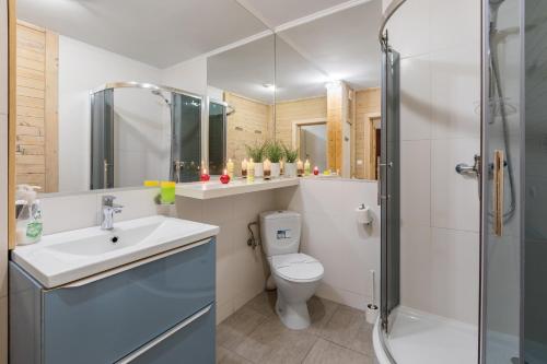 扎科帕内Apartamenty Smrekowa Zakopane的浴室配有卫生间、盥洗盆和淋浴。