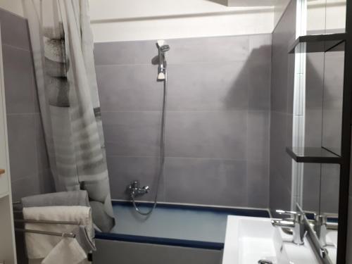 迪耶普le petit dieppois的带淋浴和浴帘的浴室