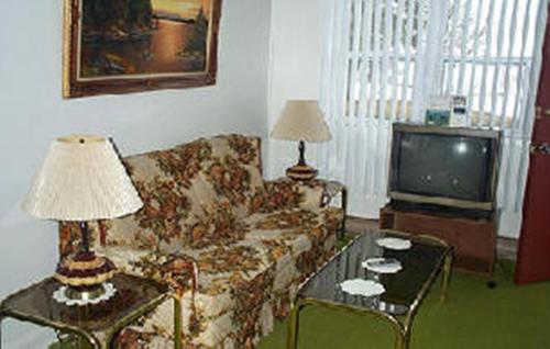 Johnstown约翰斯敦汽车旅馆的带沙发和电视的客厅