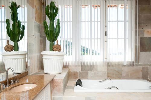 里约热内卢达科斯塔名誉酒店的带浴缸和2种盆栽植物的浴室
