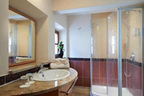 巴特克茨廷佐尔帕斯特酒店的一间带水槽和淋浴的浴室