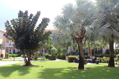 乔治敦The Grand Caymanian Resort的院子里的一组棕榈树