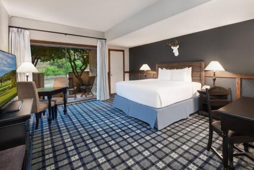 伯尼Tapatio Springs Hill Country Resort的配有一张床和一张书桌的酒店客房