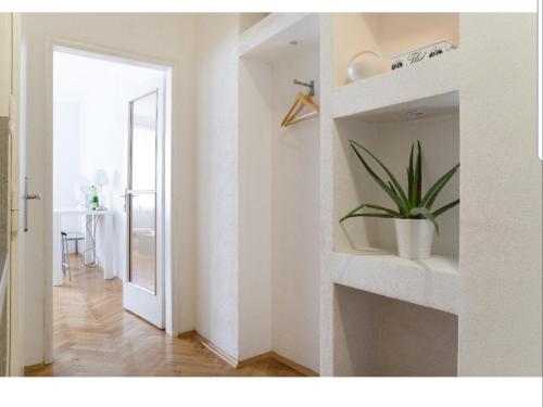 布拉迪斯拉发Six Senses Bratislava - Luxury and Central的架子上种植植物的白色房间