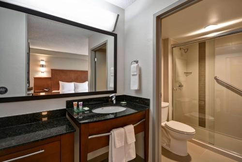 迈阿密机场西/多拉尔凯悦酒店的一间浴室