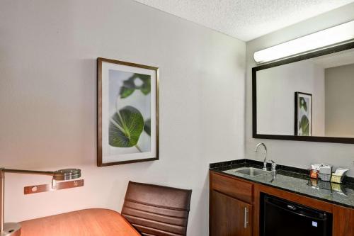 胡佛伯明翰/胡佛凯悦嘉轩酒店的酒店客房设有水槽和镜子