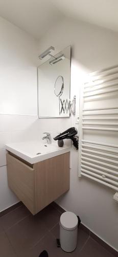 洛里昂Le P'tit Cosy的白色的浴室设有水槽和镜子