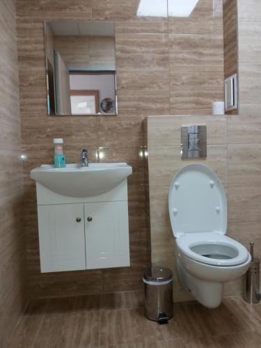 布拉戈耶夫格勒Лукс апартамент Алекс的一间带卫生间和水槽的浴室
