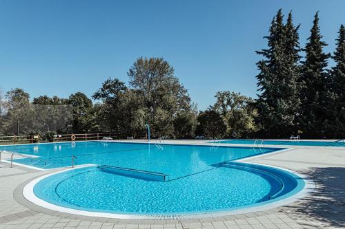 马内尔巴Camping Zocco的一个种有树木的大型蓝色游泳池