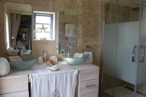 Le Bois de NèflesLodge Ylang Ylang, LIANE DE JADE 974 -piscine - jacuzzi privatif的浴室设有2个水槽和2面镜子