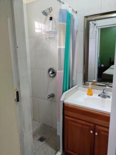 西班牙港Woodbrook on the Avenue的浴室配有盥洗盆和带镜子的淋浴
