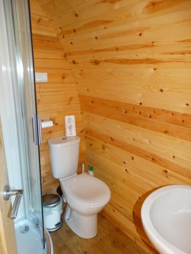 马莱格The Wee Lodge的一间带卫生间和水槽的浴室