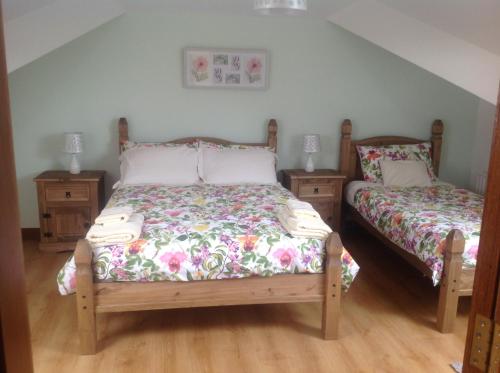 BailieboroughThe Rock Equestrian Farm B&B的一间卧室设有两张床和两个床头柜