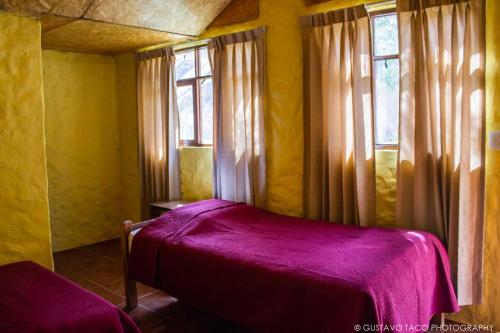 卡瓦纳科德Paraiso Las Palmeras Lodge的一间卧室配有一张紫色的床和两个窗户