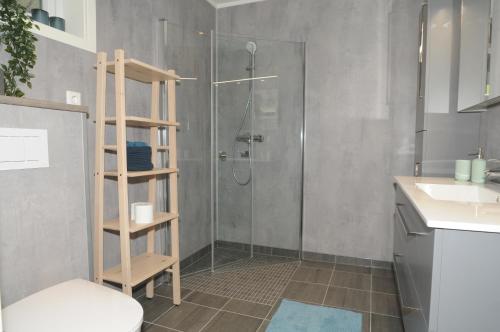 IsfjordenRomsdalseggen Lodge的带淋浴、卫生间和盥洗盆的浴室