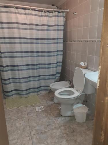埃博森Departamentos Lugar de Descanso的浴室设有卫生间、水槽和淋浴帘