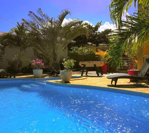 圣若瑟Les 3 Soleils的一座种植了植物的院子内的蓝色大游泳池