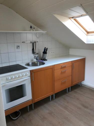 海德堡Ferienwohnung Heidelberg ZE-2020-7-WZ的厨房配有水槽和炉灶