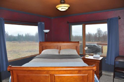 荷马Homerhome的一间卧室设有一张床和两个窗户。