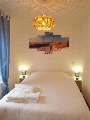 吕村Iliade的卧室配有白色的床和吊灯。