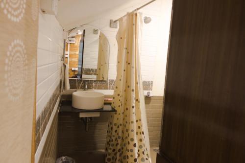 海得拉巴Mrugavani Resort & Spa的一间带水槽和淋浴帘的浴室