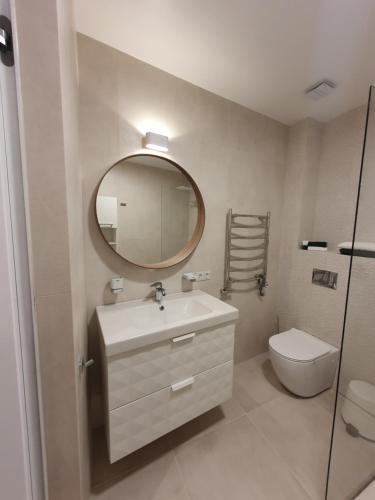 考纳斯Smaragdo apartamentai的一间带水槽、镜子和卫生间的浴室