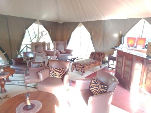 塔勒克玛拉兰奇野生动物观赏露营地 - 马赛马拉国家保护区的帐篷内带沙发和椅子的客厅