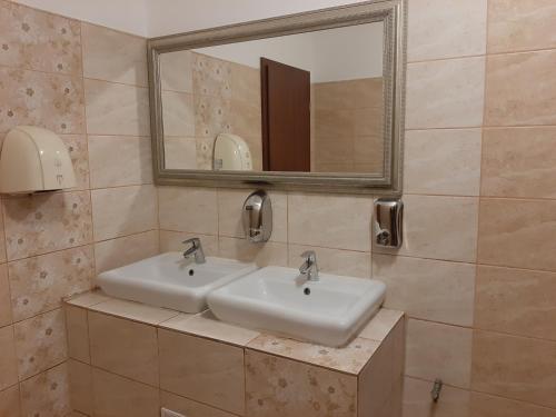 奥拉维察康多尔酒店的浴室设有2个水槽和镜子