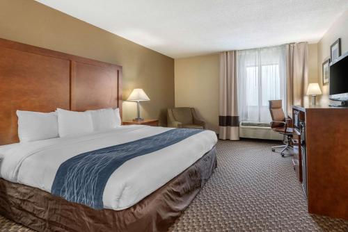 印第安纳波利斯南印第安纳波利斯康福特茵酒店的酒店客房设有一张大床和一张书桌。