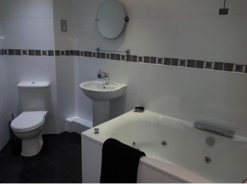 爱丁堡Beachview Apartment的浴室配有卫生间、浴缸和水槽。