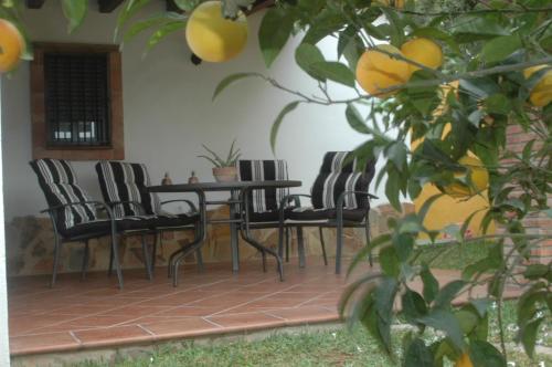扎霍拉茉莉花度假屋的一个带椅子和桌子的庭院和一棵树