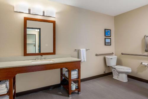 埃姆斯Comfort Inn and Suites Ames near ISU Campus的一间带水槽和卫生间的浴室