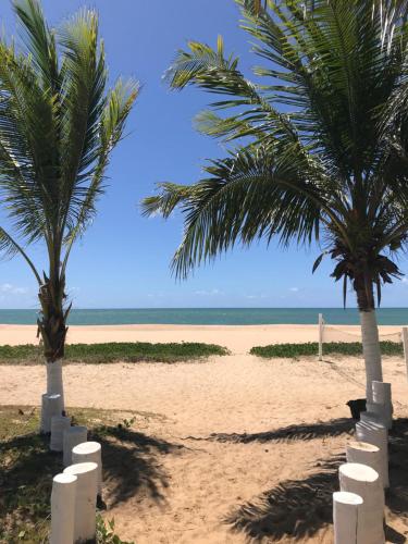 伊塔齐米林Village Areias de Itacimirim的两棵棕榈树和大海的海滩