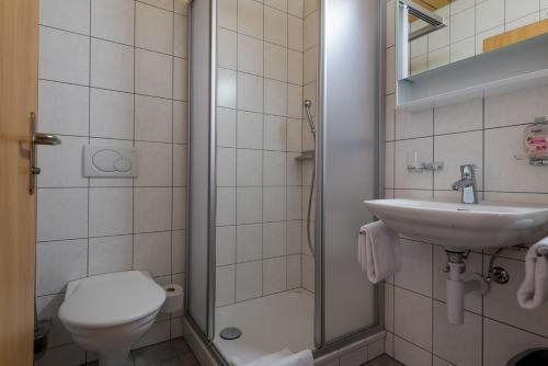 菲施Sport Resort Fiesch, Garni Aletsch的浴室配有卫生间、盥洗盆和淋浴。