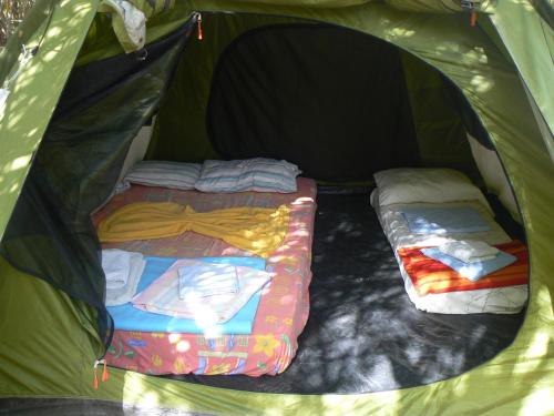 罗希姆诺伊丽莎白露营旅馆的绿色帐篷内提供两张床