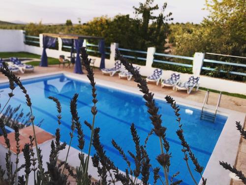 卡索拉Alojamiento San Juan Bautista的游泳池旁设有蓝色和白色的椅子
