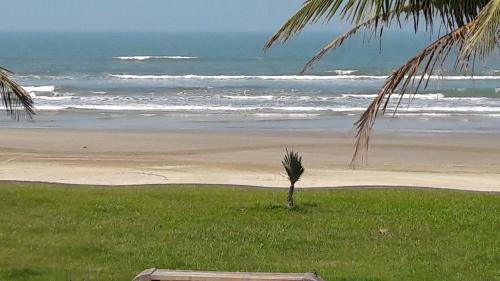 索莱马Mar Azul的棕榈树坐在海滩上